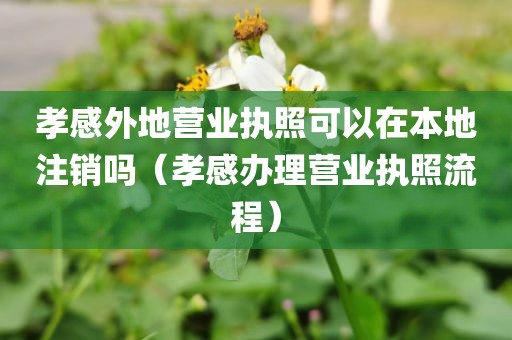 孝感外地营业执照可以在本地注销吗（孝感办理营业执照流程）