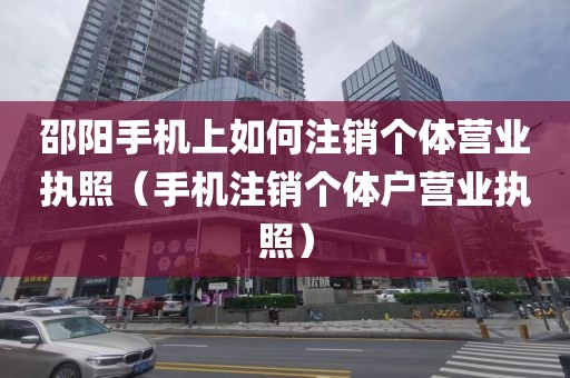 邵阳手机上如何注销个体营业执照（手机注销个体户营业执照）