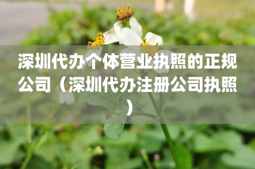 深圳代办个体营业执照的正规公司(深圳代办注册公司执照)