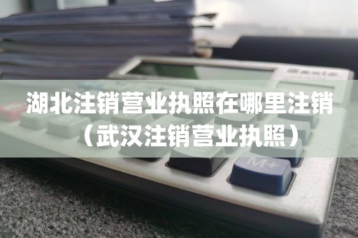 湖北注销营业执照在哪里注销（武汉注销营业执照）