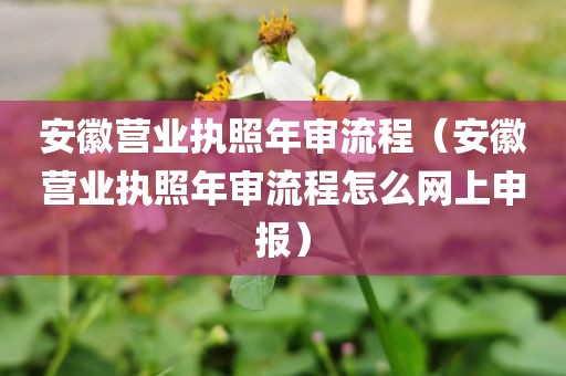 安徽营业执照年审流程（安徽营业执照年审流程怎么网上申报）