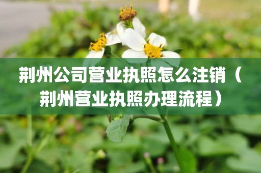 荆州公司营业执照怎么注销(荆州营业执照办理流程)
