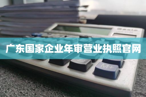 广东国家企业年审营业执照官网