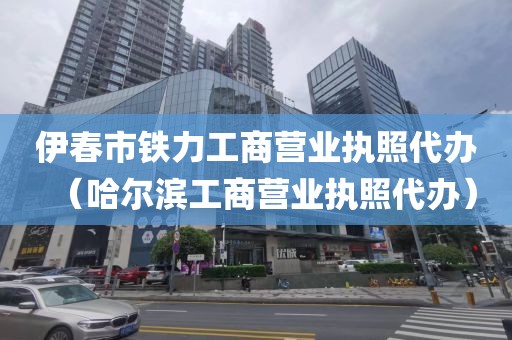 伊春市铁力工商营业执照代办（哈尔滨工商营业执照代办）