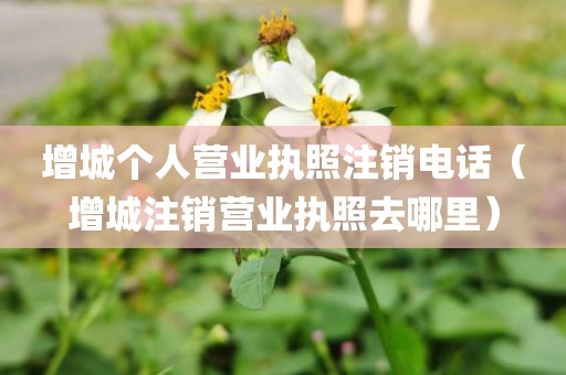 增城个人营业执照注销电话（增城注销营业执照去哪里）