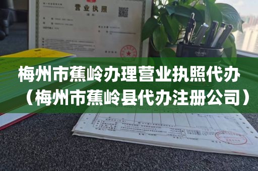 梅州市蕉岭办理营业执照代办（梅州市蕉岭县代办注册公司）
