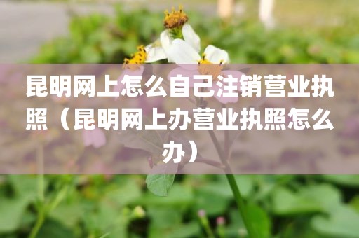 昆明网上怎么自己注销营业执照（昆明网上办营业执照怎么办）