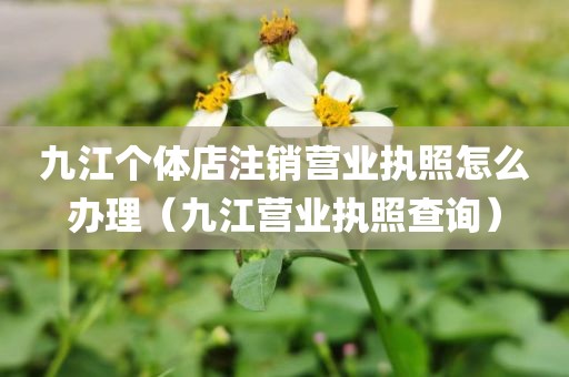 九江个体店注销营业执照怎么办理（九江营业执照查询）
