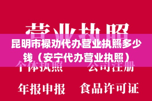 昆明市禄劝代办营业执照多少钱（安宁代办营业执照）
