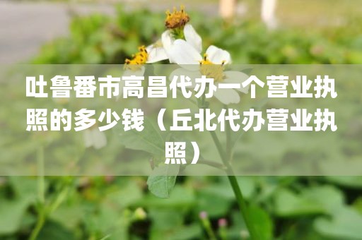 吐鲁番市高昌代办一个营业执照的多少钱（丘北代办营业执照）