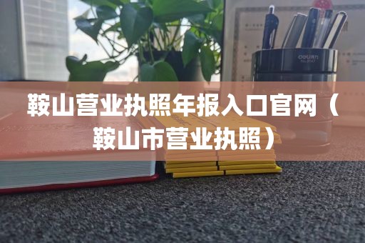 鞍山营业执照年报入口官网（鞍山市营业执照）