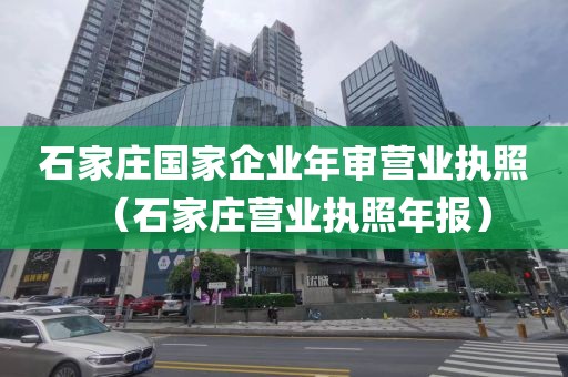 石家庄国家企业年审营业执照（石家庄营业执照年报）
