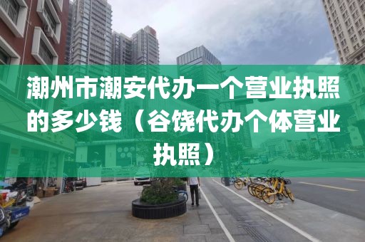 潮州市潮安代办一个营业执照的多少钱（谷饶代办个体营业执照）