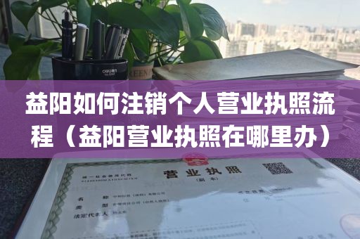 益阳如何注销个人营业执照流程(益阳营业执照在哪里办)