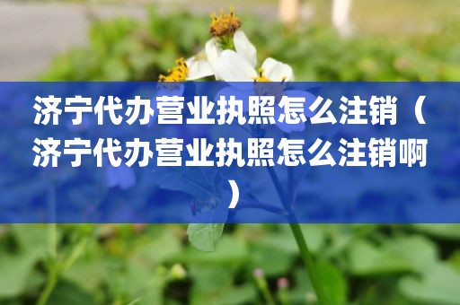 济宁代办营业执照怎么注销（济宁代办营业执照怎么注销啊）