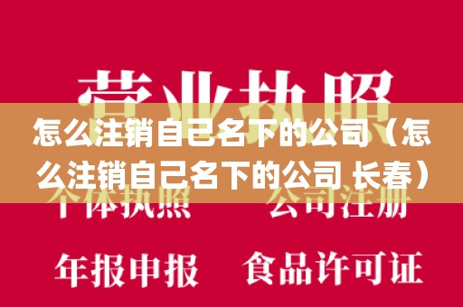 怎么注销自己名下的公司（怎么注销自己名下的公司 长春）