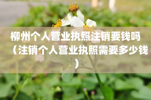 柳州个人营业执照注销要钱吗（注销个人营业执照需要多少钱）