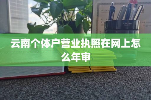 云南个体户营业执照在网上怎么年审