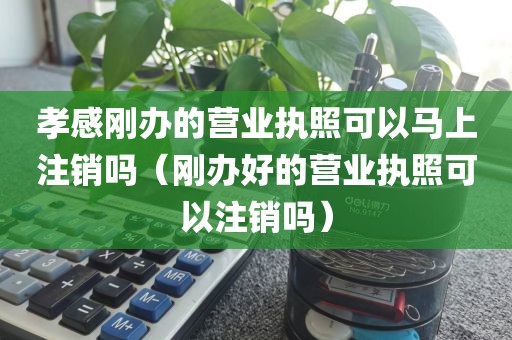 孝感刚办的营业执照可以马上注销吗（刚办好的营业执照可以注销吗）