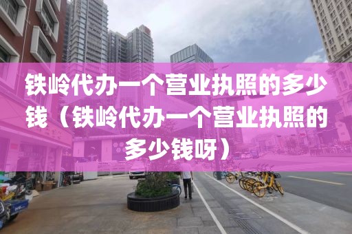 铁岭代办一个营业执照的多少钱（铁岭代办一个营业执照的多少钱呀）
