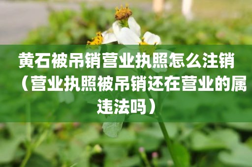 黄石被吊销营业执照怎么注销（营业执照被吊销还在营业的属违法吗）