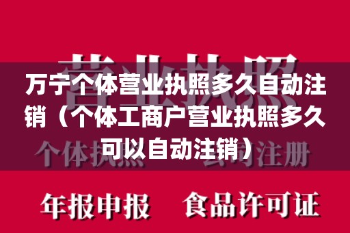 万宁个体营业执照多久自动注销(个体工商户营业执照多久可以自动注销)