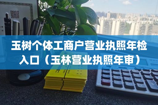 玉树个体工商户营业执照年检入口（玉林营业执照年审）