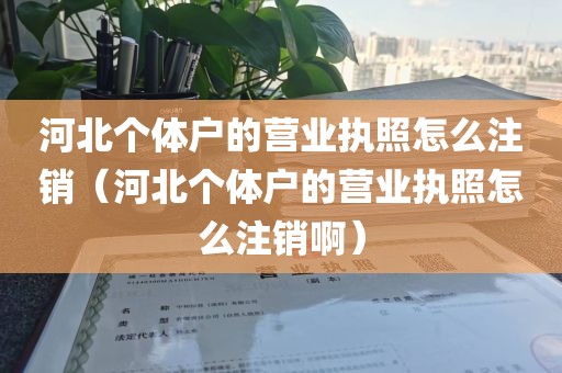 河北个体户的营业执照怎么注销（河北个体户的营业执照怎么注销啊）