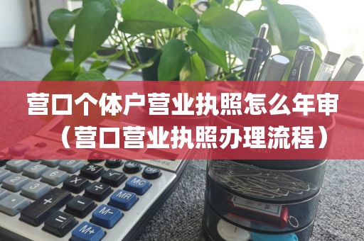 营口个体户营业执照怎么年审（营口营业执照办理流程）