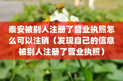 泰安被别人注册了营业执照怎么可以注销(发现自己的信息被别人注册了营业执照)