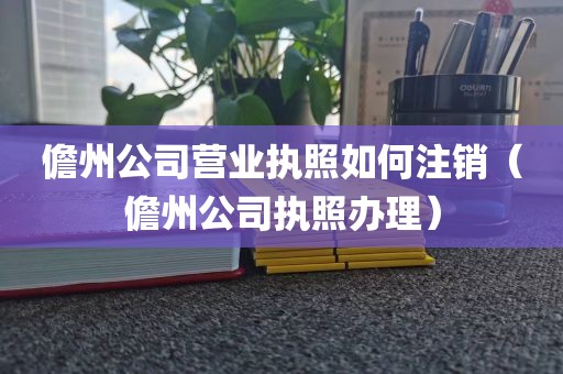 儋州公司营业执照如何注销（儋州公司执照办理）