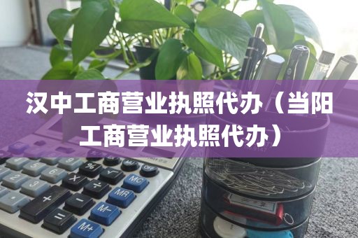 汉中工商营业执照代办（当阳工商营业执照代办）