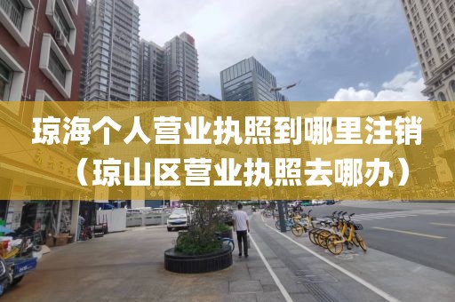 琼海个人营业执照到哪里注销(琼山区营业执照去哪办)