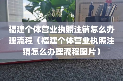福建个体营业执照注销怎么办理流程（福建个体营业执照注销怎么办理流程图片）