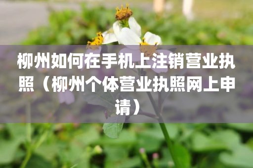 柳州如何在手机上注销营业执照（柳州个体营业执照网上申请）
