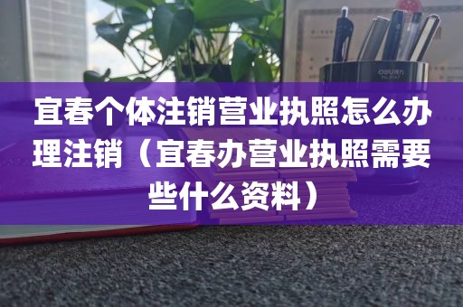 宜春个体注销营业执照怎么办理注销（宜春办营业执照需要些什么资料）