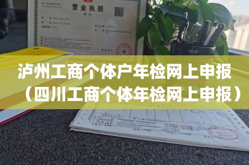 泸州工商个体户年检网上申报（四川工商个体年检网上申报）