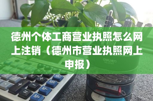 德州个体工商营业执照怎么网上注销（德州市营业执照网上申报）