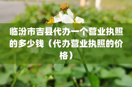临汾市吉县代办一个营业执照的多少钱(代办营业执照的价格)