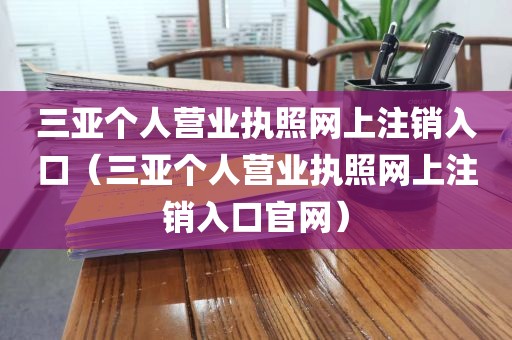 三亚个人营业执照网上注销入口（三亚个人营业执照网上注销入口官网）