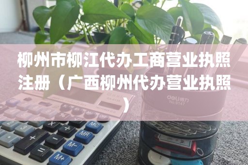 柳州市柳江代办工商营业执照注册（广西柳州代办营业执照）