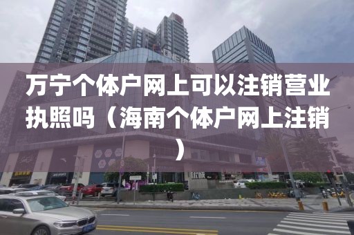 万宁个体户网上可以注销营业执照吗（海南个体户网上注销）