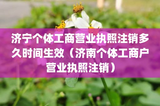 济宁个体工商营业执照注销多久时间生效（济南个体工商户营业执照注销）