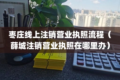 枣庄线上注销营业执照流程(薛城注销营业执照在哪里办)