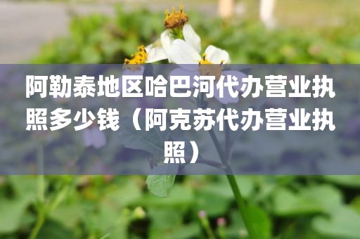 阿勒泰地区哈巴河代办营业执照多少钱（阿克苏代办营业执照）