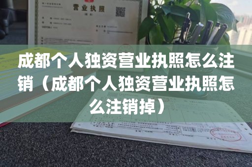 成都个人独资营业执照怎么注销（成都个人独资营业执照怎么注销掉）