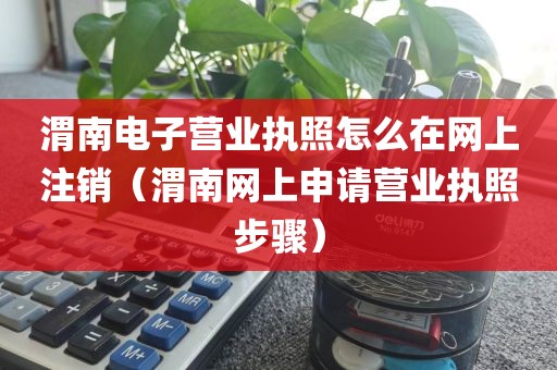 渭南电子营业执照怎么在网上注销（渭南网上申请营业执照步骤）