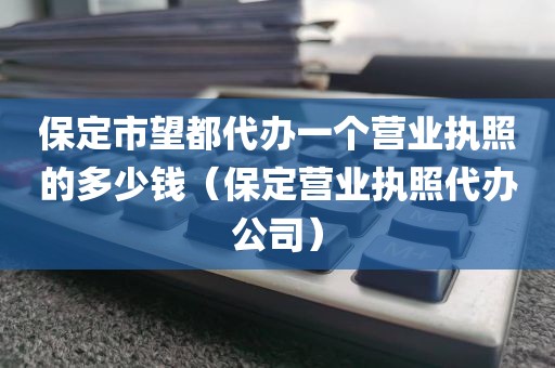 保定市望都代办一个营业执照的多少钱（保定营业执照代办公司）