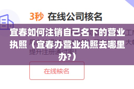 宜春如何注销自己名下的营业执照（宜春办营业执照去哪里办?）