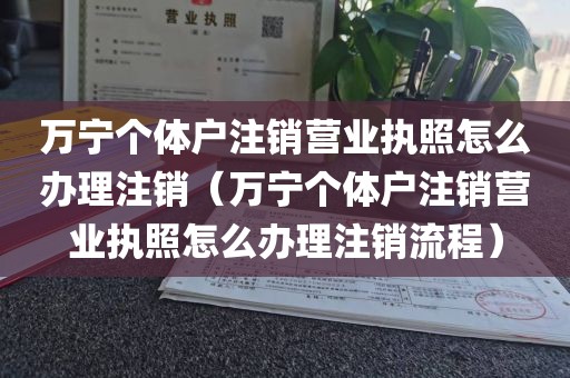 万宁个体户注销营业执照怎么办理注销（万宁个体户注销营业执照怎么办理注销流程）